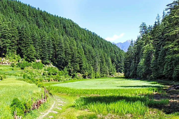 Pundrik Lake Dehuri Sainj
